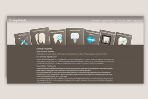 Pamborides web design 2